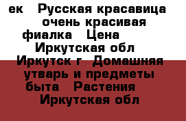  “ек - Русская красавица“ - очень красивая фиалка › Цена ­ 160 - Иркутская обл., Иркутск г. Домашняя утварь и предметы быта » Растения   . Иркутская обл.